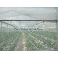 Agriculture Netting